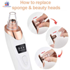 facial pore cleaner deep cleansing tool